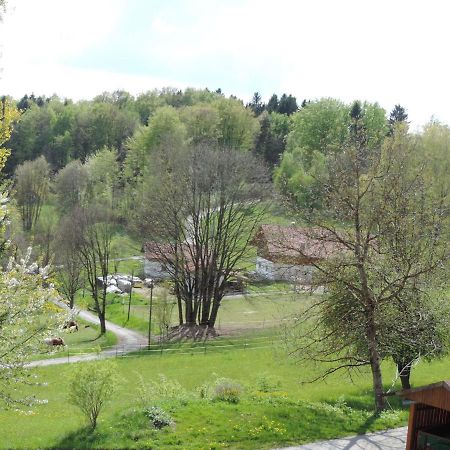 Ferienwohnung Waldoase Am Fuchsenstein Spiegelau Rom bilde