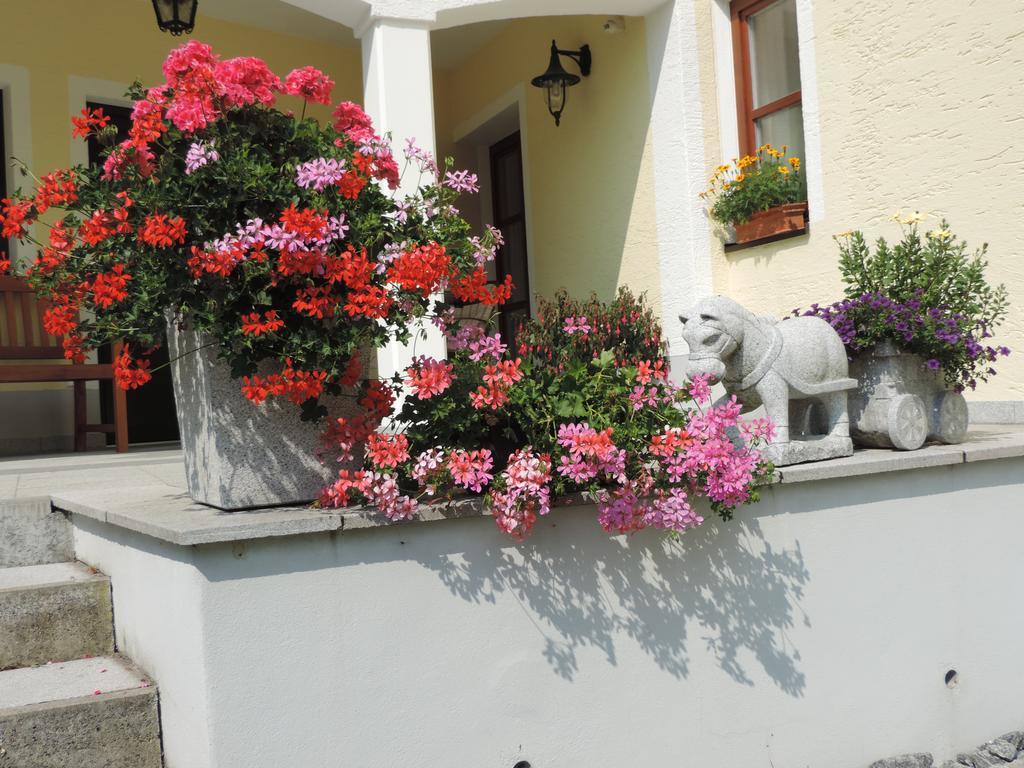 Ferienwohnung Waldoase Am Fuchsenstein Spiegelau Rom bilde
