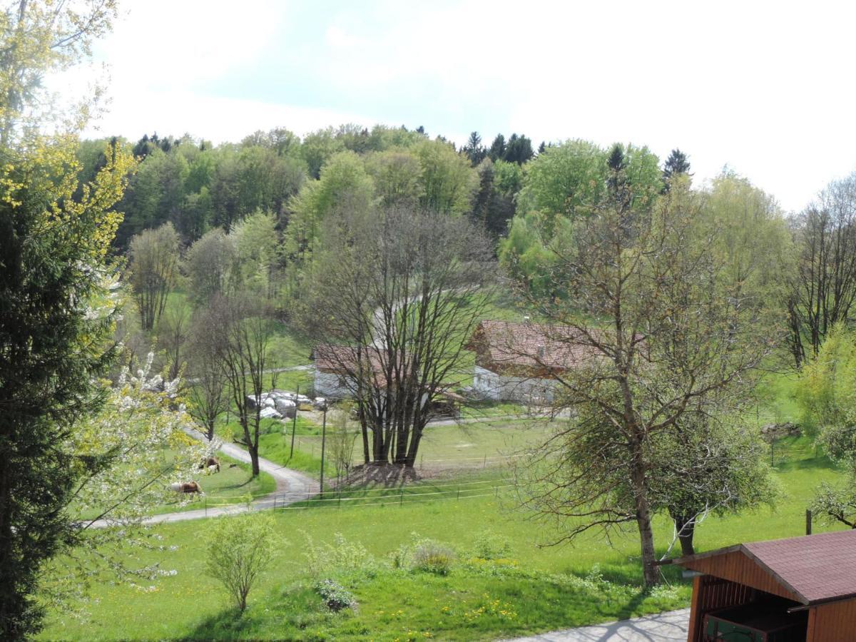 Ferienwohnung Waldoase Am Fuchsenstein Spiegelau Rom bilde